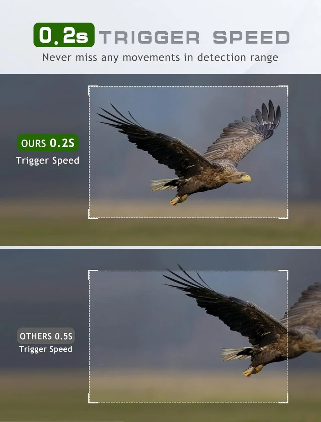 Night Waterproof, Time 0.2s Hunting Trail - Camera Vision Camera 20MP for Motion Wildlife Activated Game Trigger with Camera Hunting-M9 Monitoring Mini Deer 1080P