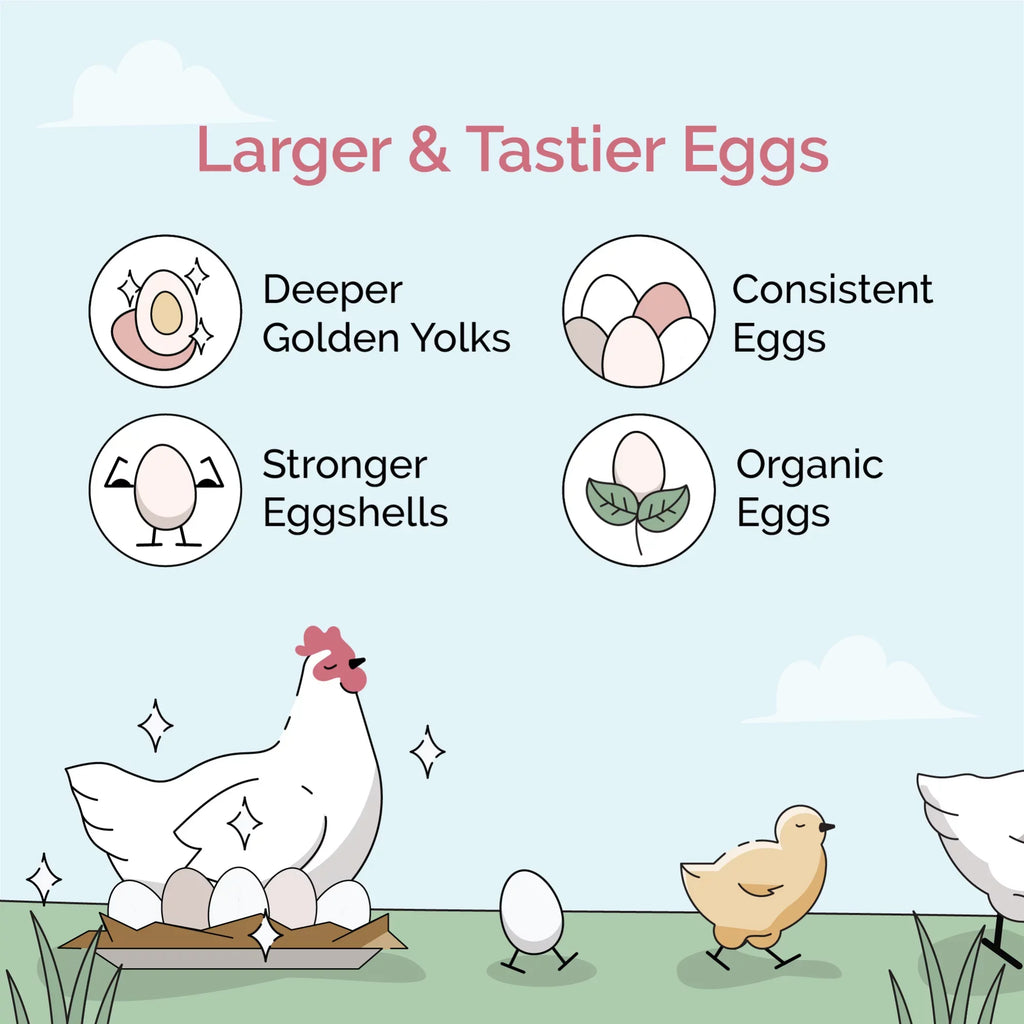 Grain 18% 46 Certified Non-GMO, Organic, Feed Certified Four | Grower Non-Medicated Mile US Protein Corn-Free, 100% | Food Whole Grains, | Chicken | Soy-Free, Grown Chicken | Organic lbs.
