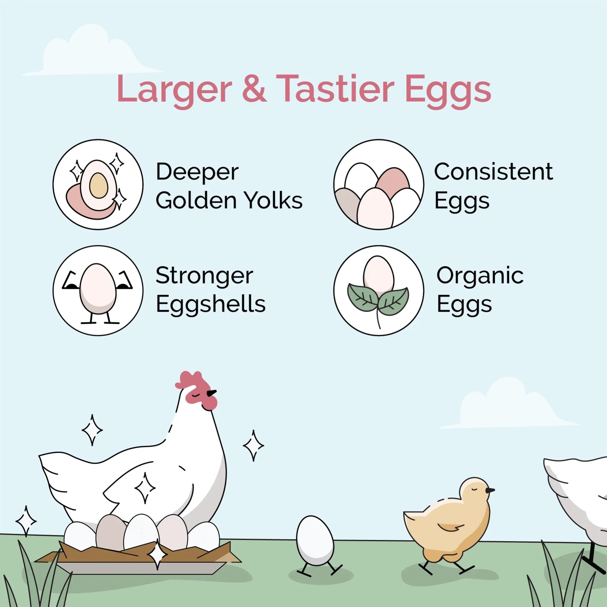 Grain 18% 46 Certified Non-GMO, Organic, Feed Certified Four | Grower Non-Medicated Mile US Protein Corn-Free, 100% | Food Whole Grains, | Chicken | Soy-Free, Grown Chicken | Organic lbs.