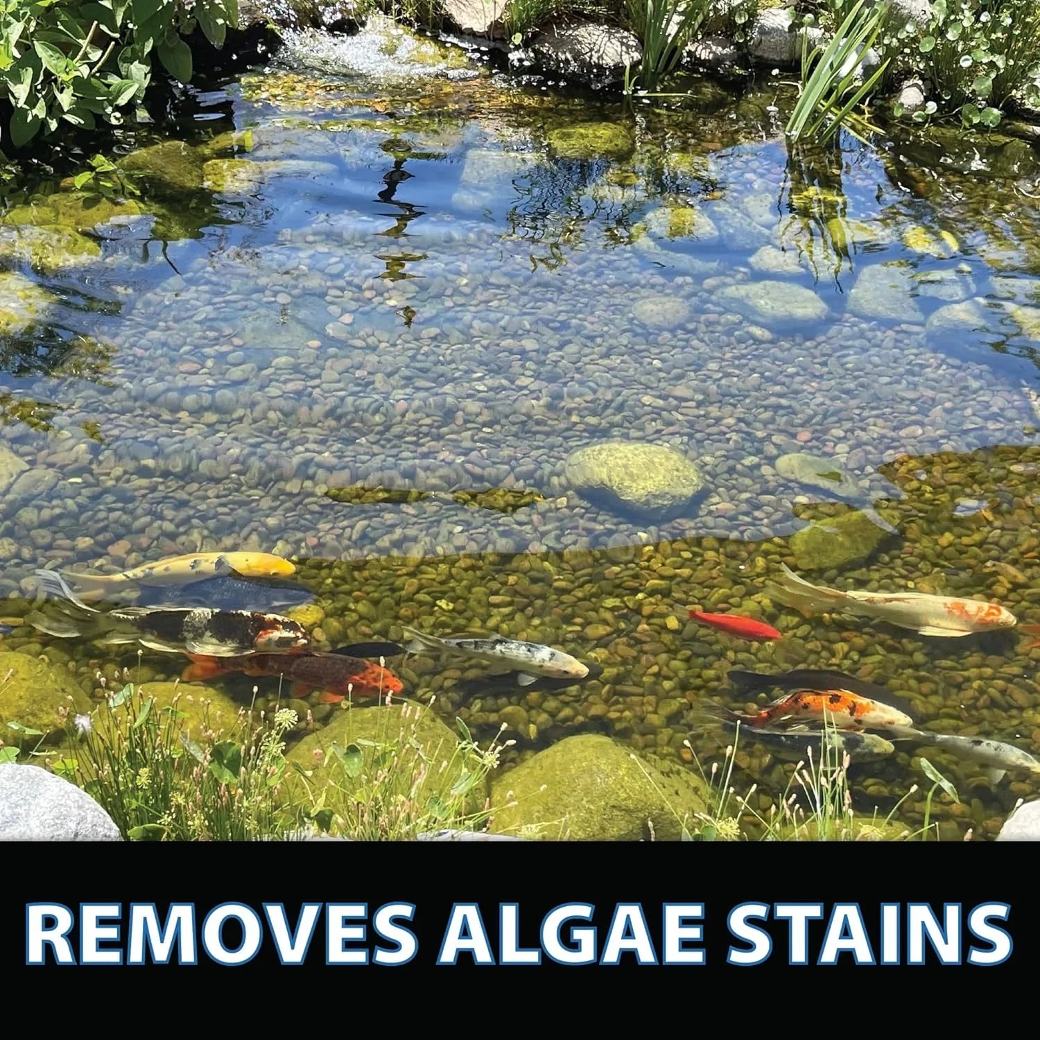 Enzymes Max Koi Remover, 25LB Fish & ClarityMax, Provide Clear liquid Clarity, Safe, Bacteria All-in-One Treatment, Beneficial Pet & All-Natural Algae Pond Crystal Stain Clarifier CrystalClear Garden