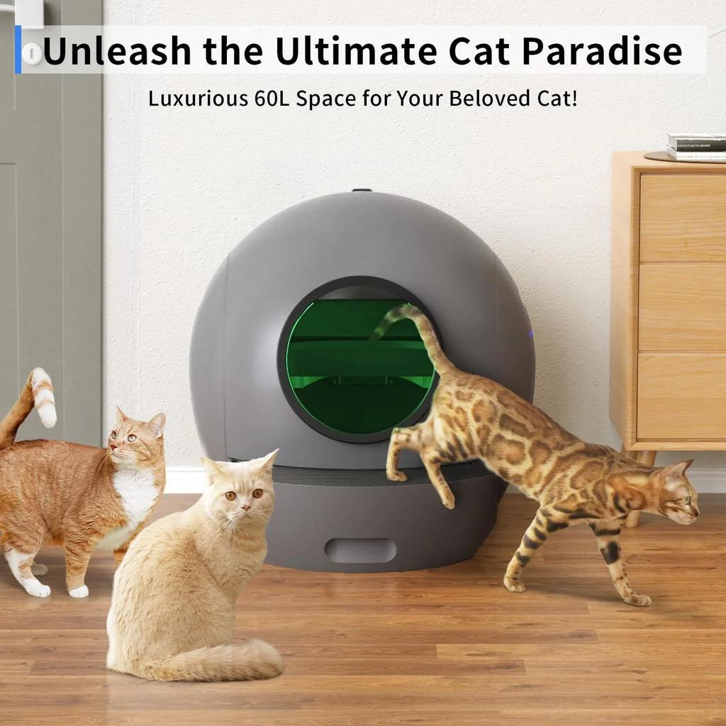 Control Cat Box, Automatic Gift PET Box Cat Cleaning Multiple APP Cats Litter for Litter ELS Self