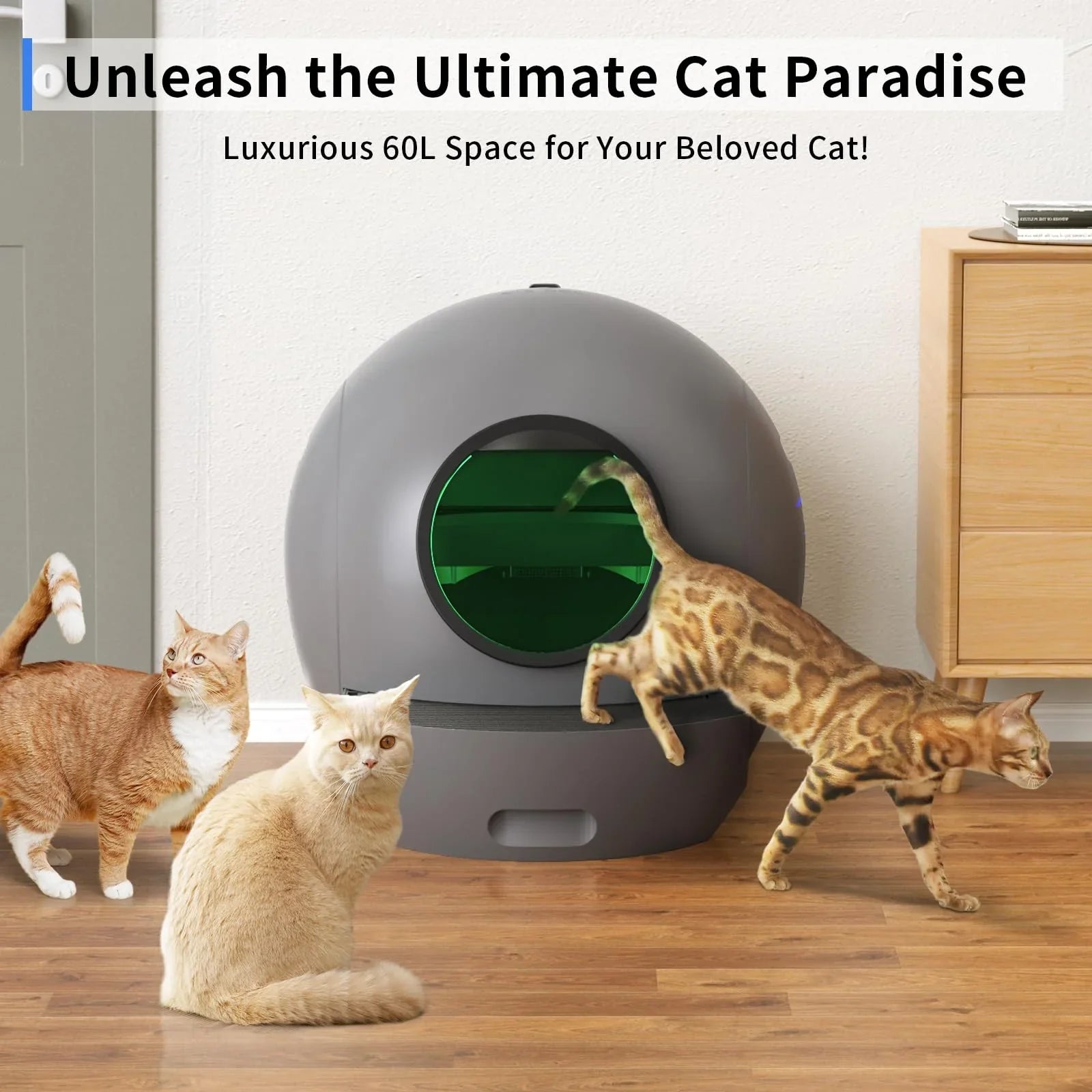Control Cat Box, Automatic Gift PET Box Cat Cleaning Multiple APP Cats Litter for Litter ELS Self