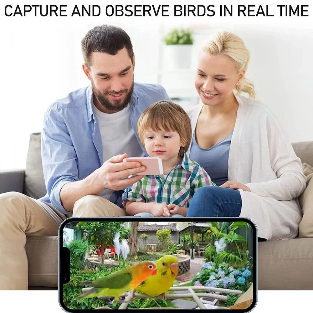 Capture Smart Bird IP65 Video Cards Notification Bird AI 1080P Identify Species Real-time Auto Bird and Carevas WIFI Detection Waterproof Motion TF 128G Camera Feeder