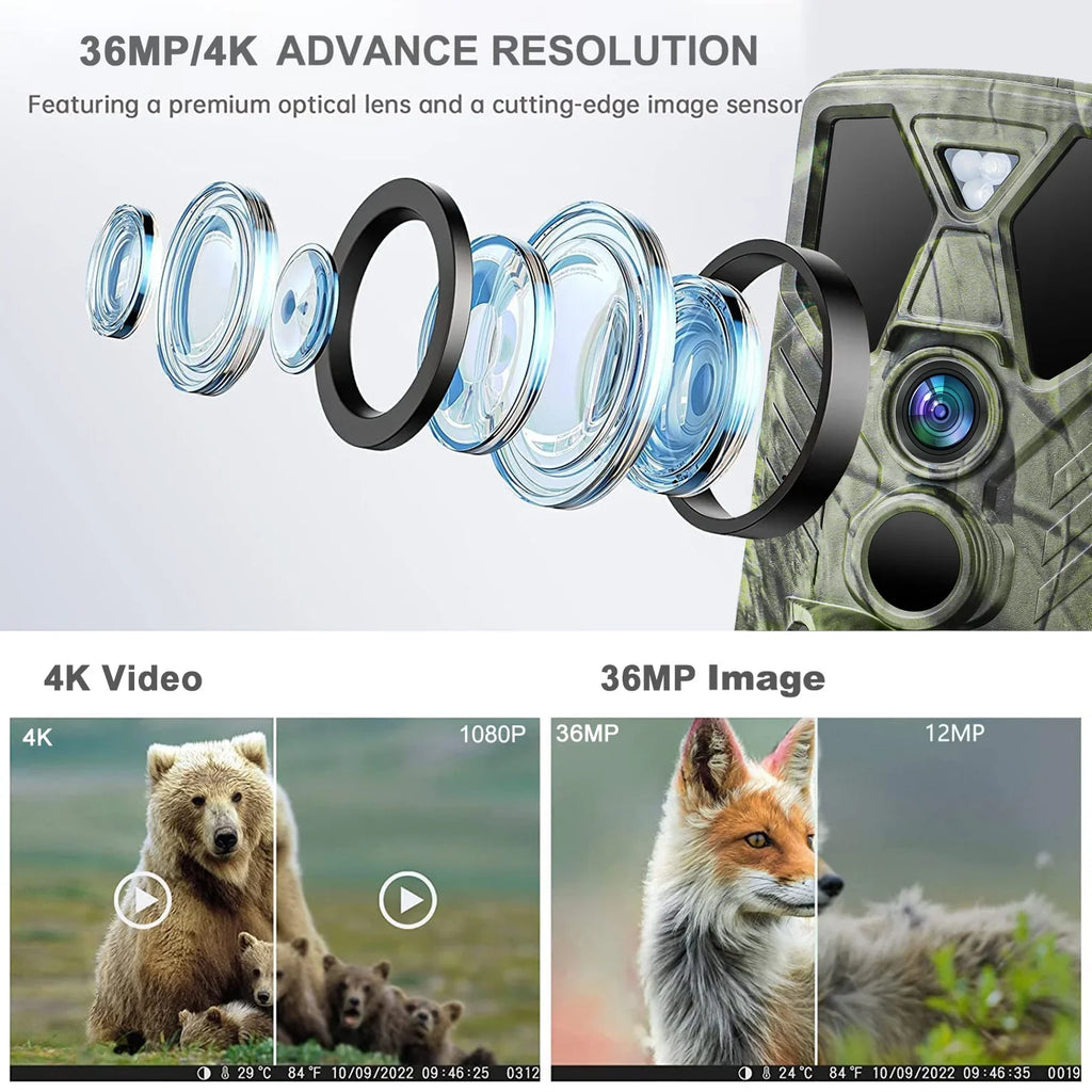 Monitor with Wildgame with Camera IR Wildlife TF HC-812A Monitors Hunting Hunting 36MP 4K Camera Night Trail Trail LED Waterproof Trail Card 32GB Vision SuntekCam