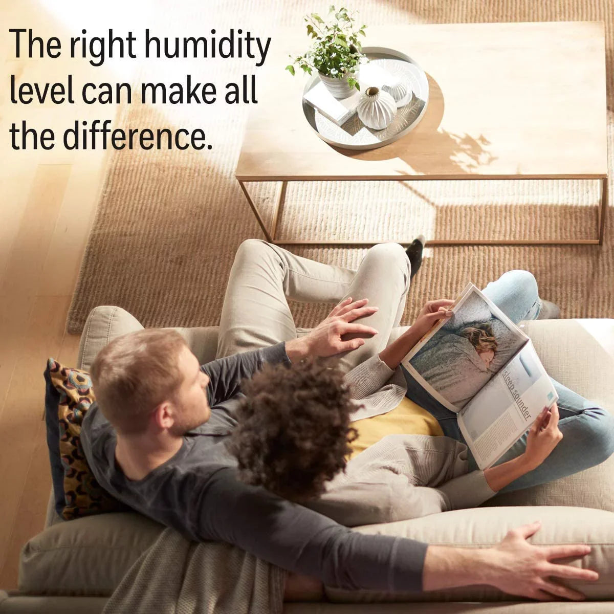 Honeywell Filters Humidifier Bundled A - with. 2 Series (Updated Replacement, Filter HAC-504 Version)