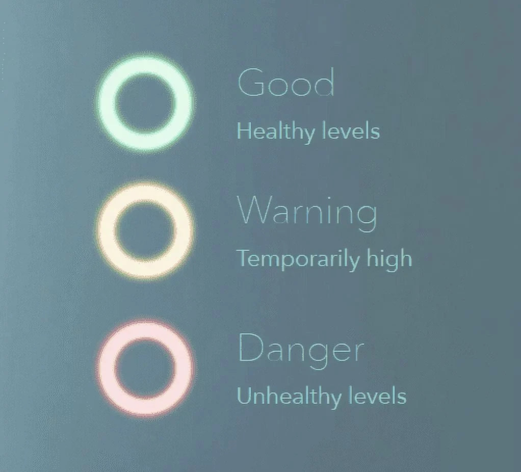 Airthings Smart Radon Detector Wave