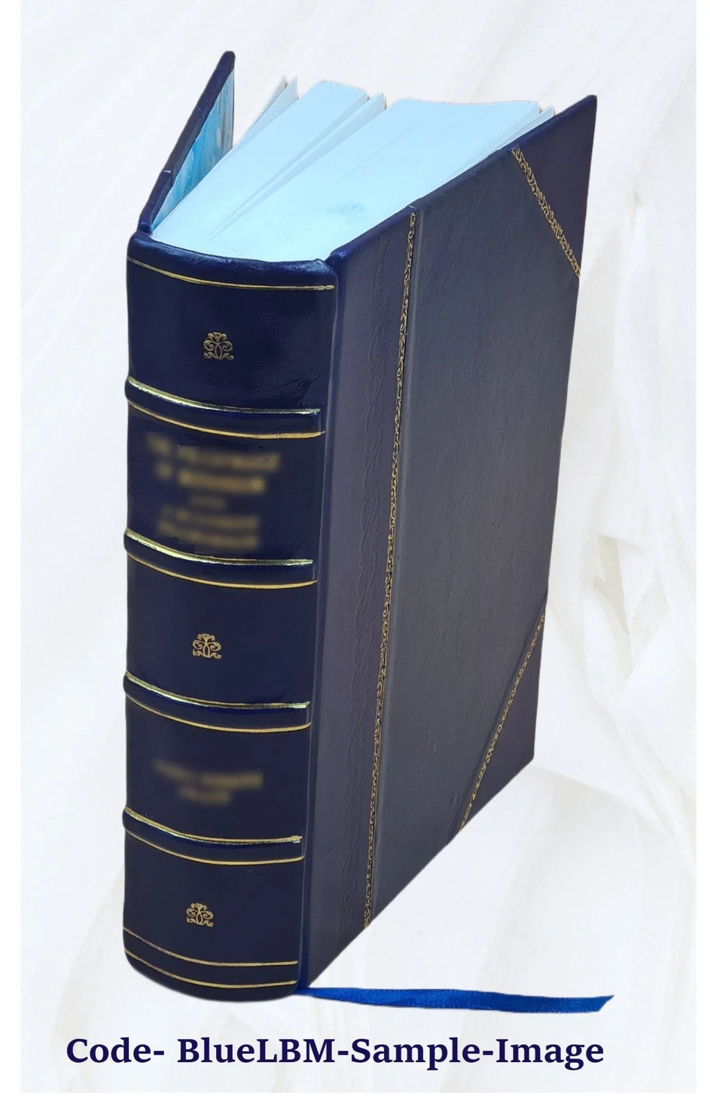 used dictionary ciphers, biographical modern times; A sculptors, with from distinguished engravers, painters, marks and critical to and the by ancient of and monograms, architects,