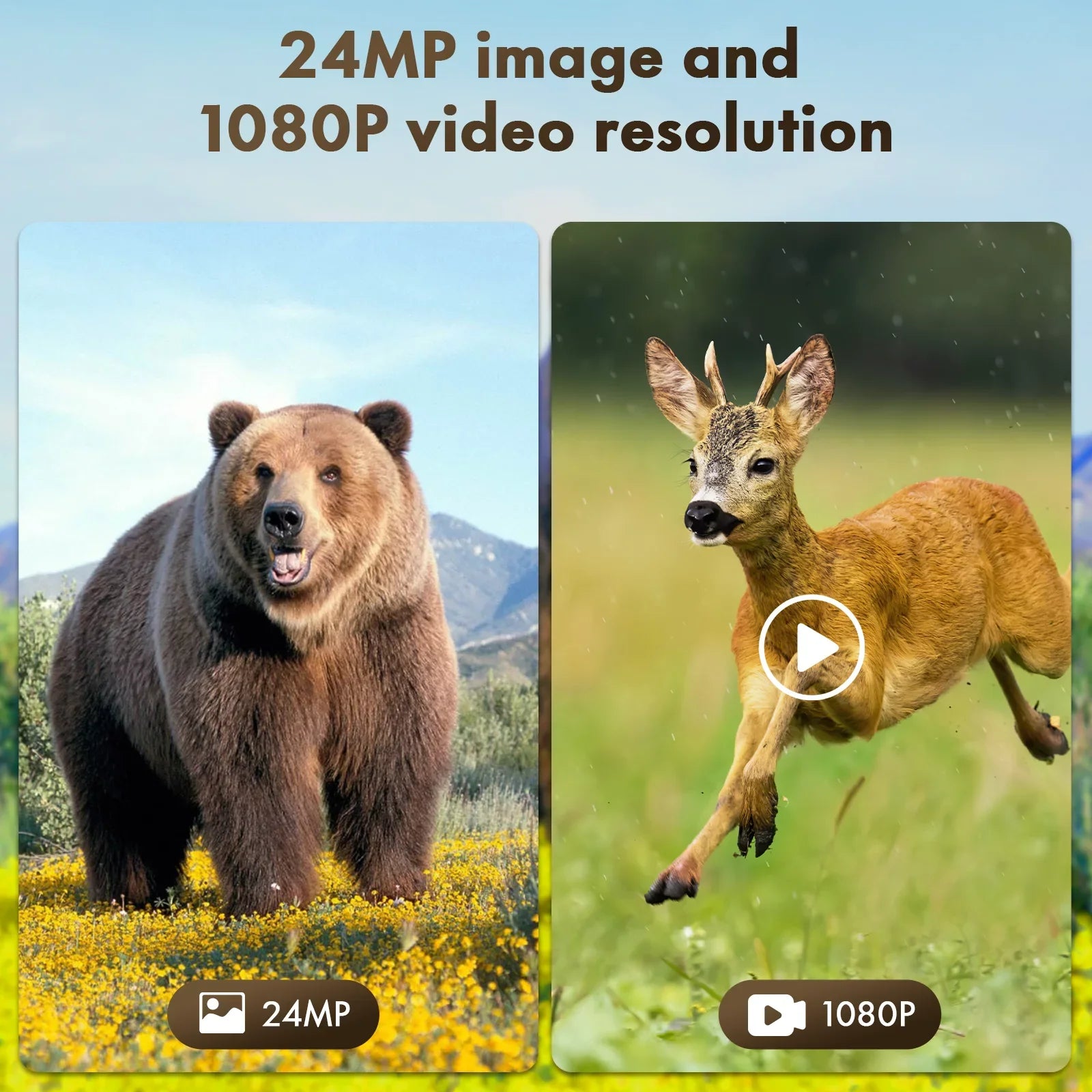 Rechargeable Battery Trail Waterproof Built-in Trigger CAMPARK Activated 120°Wide Camera Angle 0.1s 24MP Camera IP66 Motion Speed Vision with Cam Night 2500mAh Lithium Game 1080P Hunting Solar