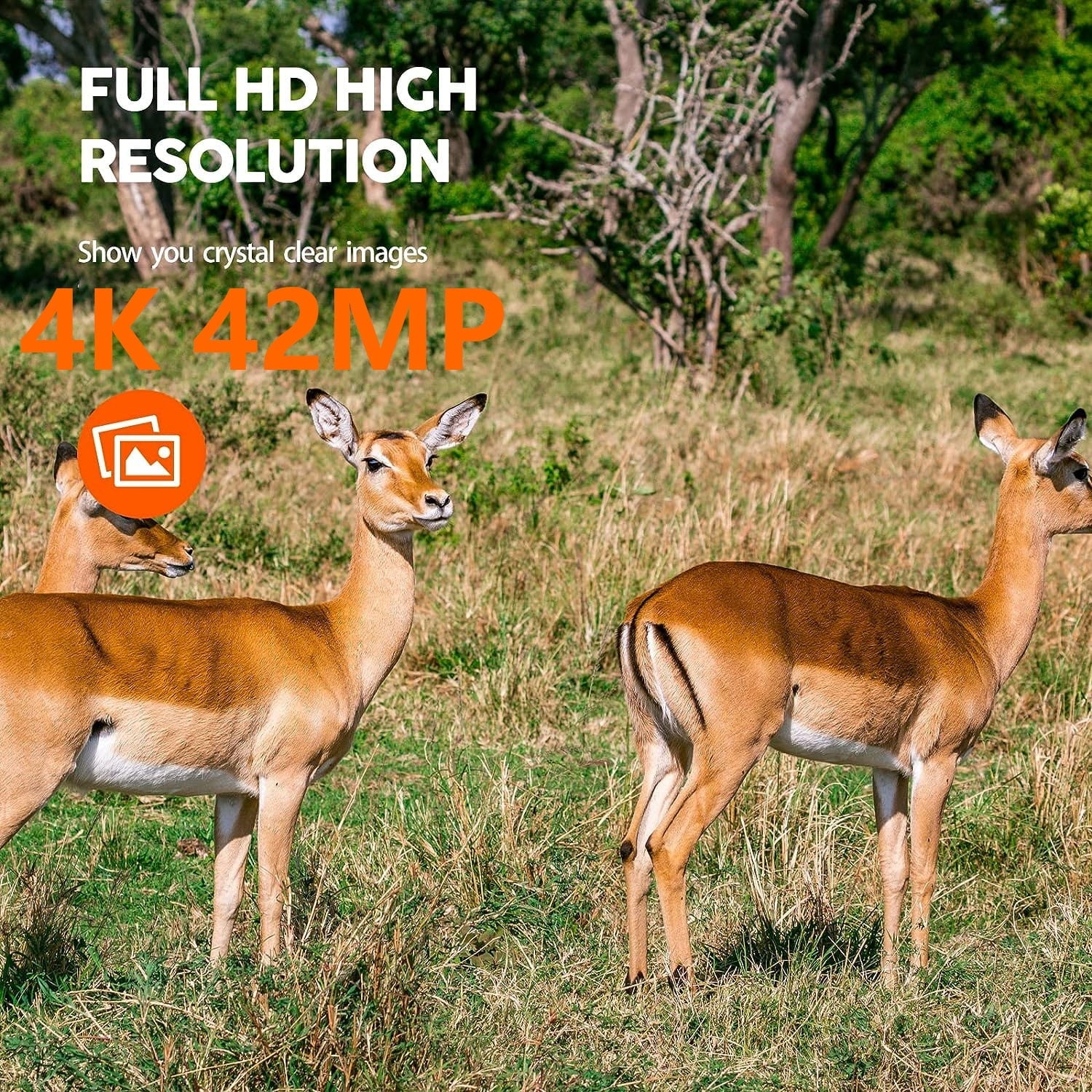 Game Camera Trail Wildlife WiFi Deer for Infrared 3PIR 42MP Waterproof 4K 2.4" Bluetooth Night Trigger Sensor IP66 Cam 0.2s Trail Camera with Monitoring Hunting LCD Vision CAMPARK