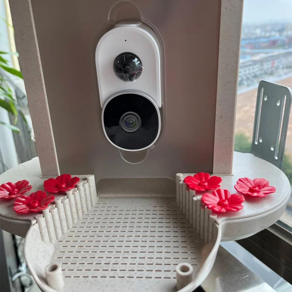 Capture Smart Bird IP65 Video Cards Notification Bird AI 1080P Identify Species Real-time Auto Bird and Carevas WIFI Detection Waterproof Motion TF 128G Camera Feeder
