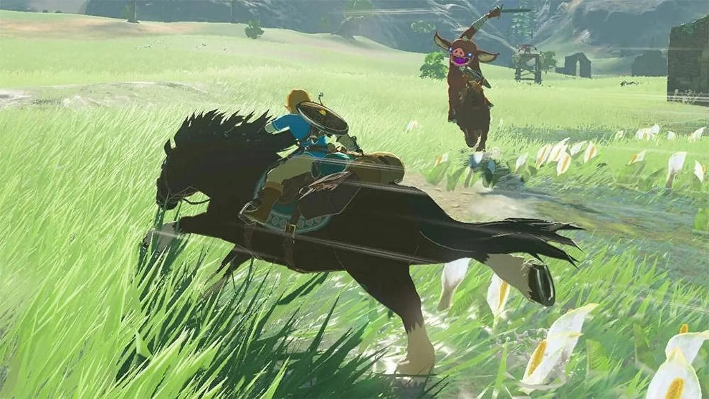 Bundle Zelda: of the Two Switch of Game Legend - The the Breath Wild Nintendo Tears of and Kingdom