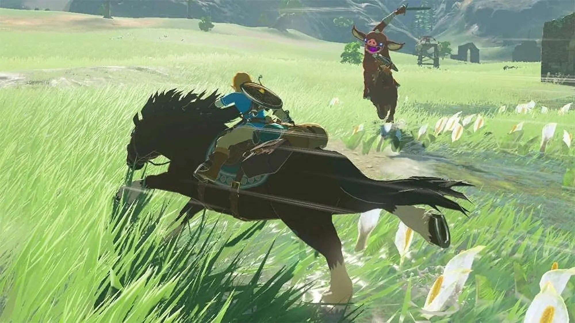 Bundle Zelda: of the Two Switch of Game Legend - The the Breath Wild Nintendo Tears of and Kingdom