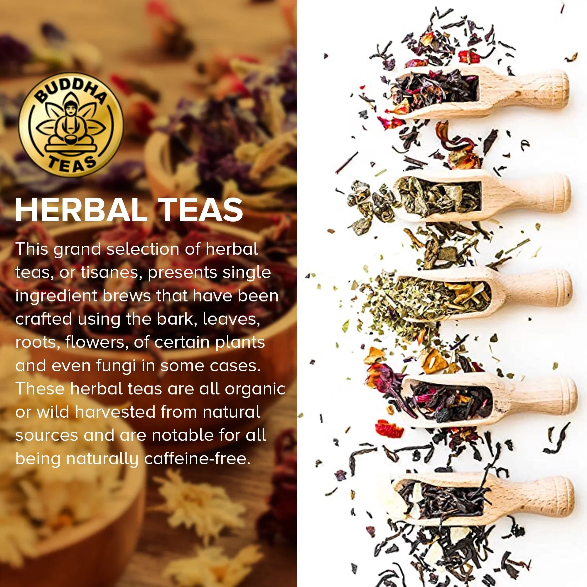 Detox Organic Antioxidant Boxes Herbal Tea 3 Teas Turmeric Bags Ginger Drink Buddha
