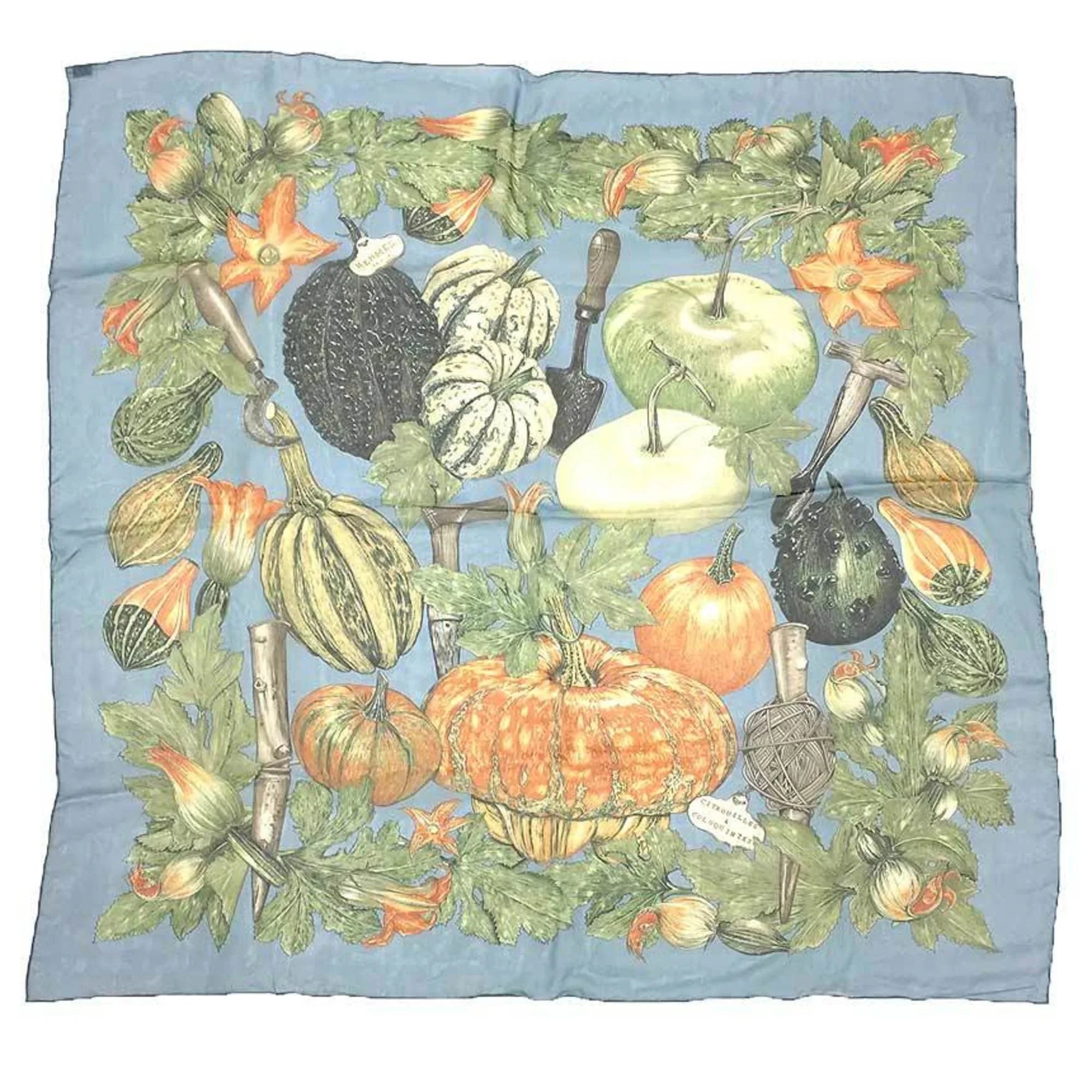 Muffler colocynth COLOQUINTES CITROUILLES Silk 90 Scarf Pre-Owned silk & Pumpkin scarf and 100% HERMES Carre Hermes muslin (Good) Chiffon