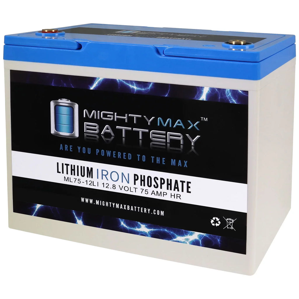 BW 75AH Way Replacement Battery 12V Group for Bright EV24 Lithium Z
