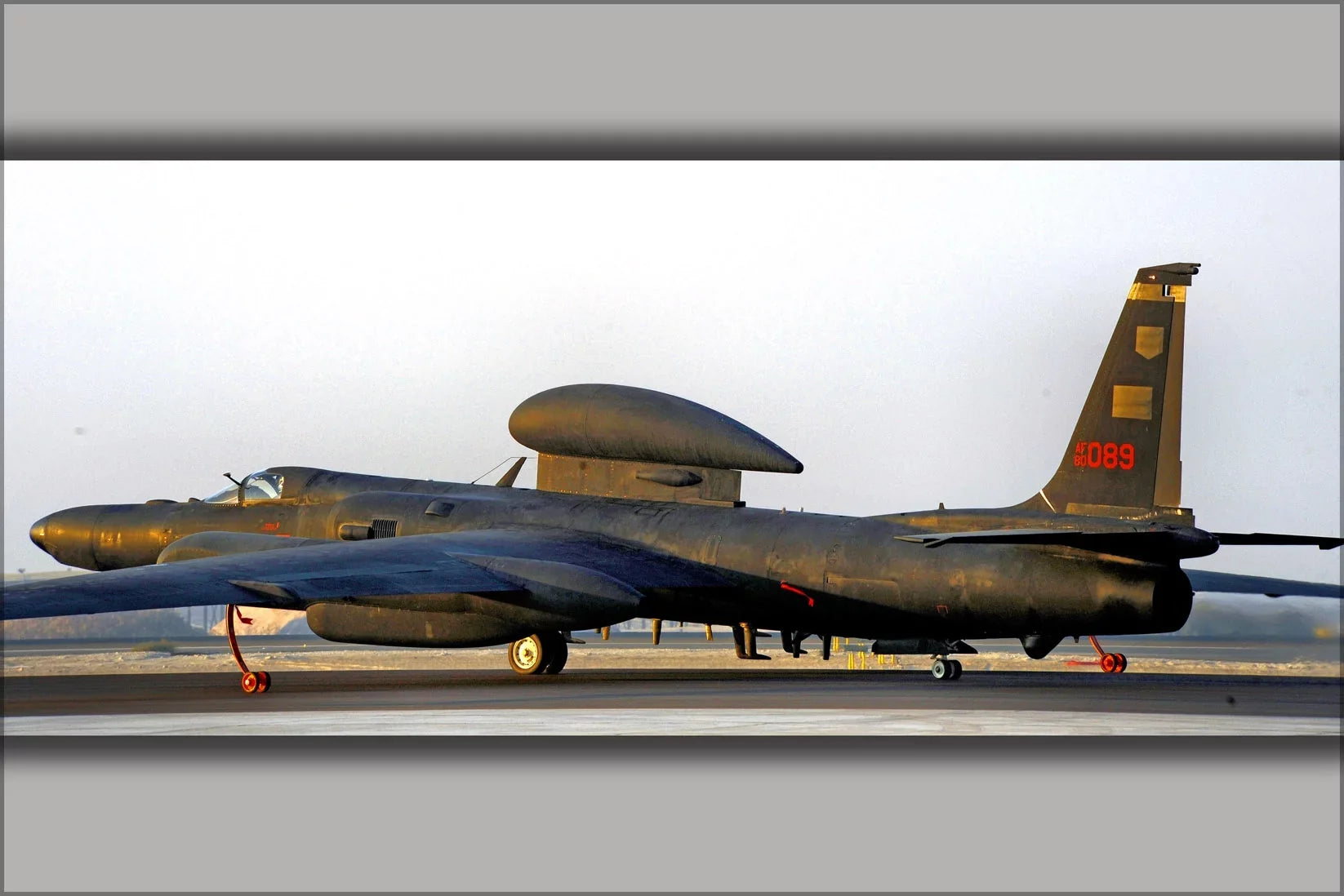 Poster, Force Recon 24"x36" U.S. 99th Lady Air Squad Gallery U-2 Expeditionary Dragon