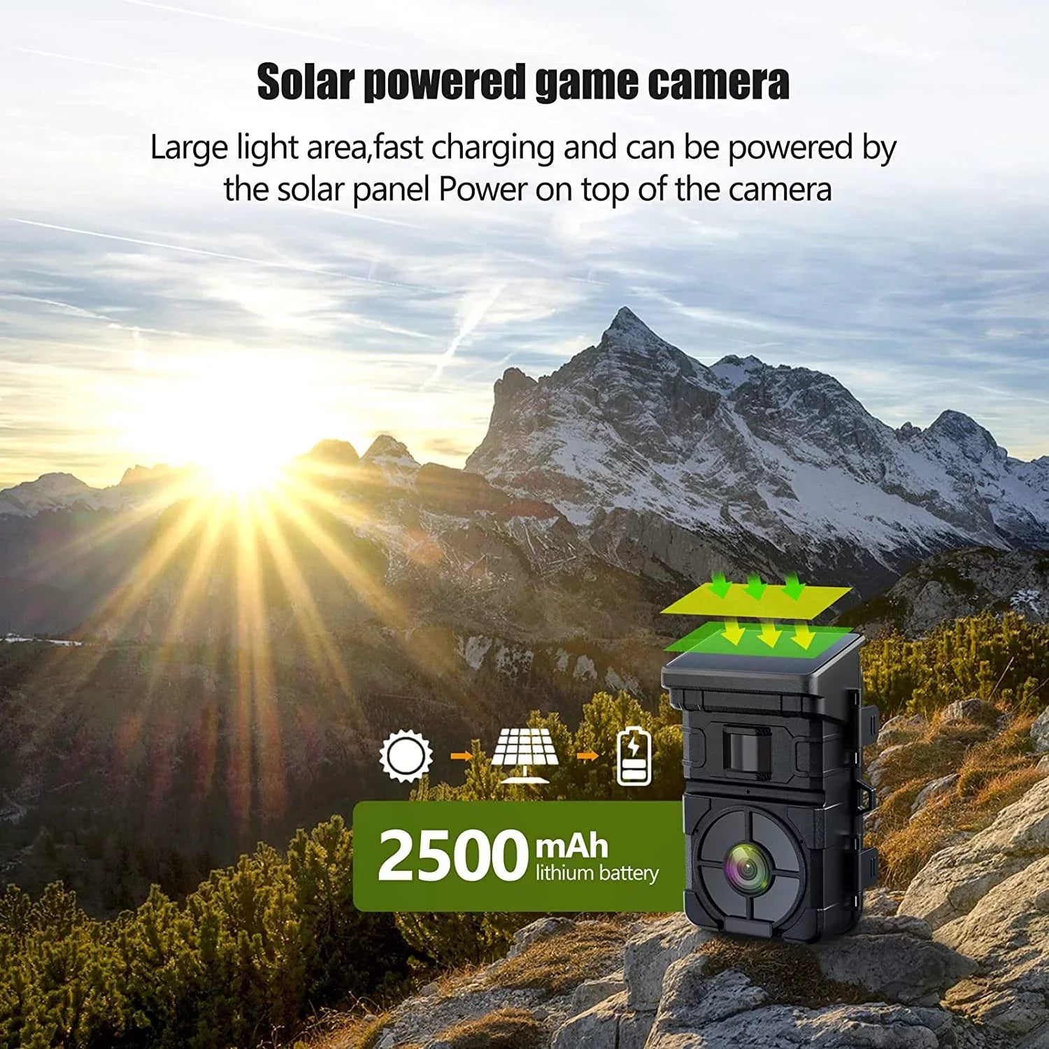 Rechargeable Battery Trail Waterproof Built-in Trigger CAMPARK Activated 120°Wide Camera Angle 0.1s 24MP Camera IP66 Motion Speed Vision with Cam Night 2500mAh Lithium Game 1080P Hunting Solar