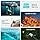 Fly With 4 Mini Drone High More Pro Plus Combo Capacity Batteries