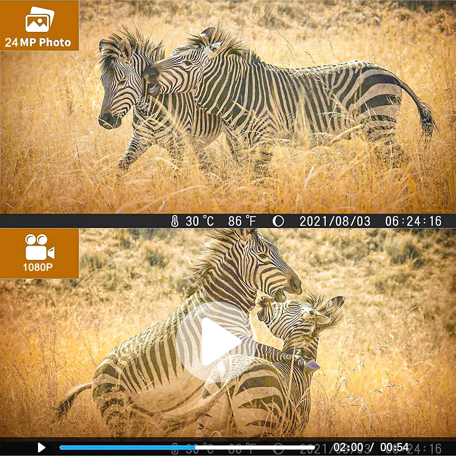 Monitor with Wildgame with Camera IR Wildlife TF HC-812A Monitors Hunting Hunting 36MP 4K Camera Night Trail Trail LED Waterproof Trail Card 32GB Vision SuntekCam