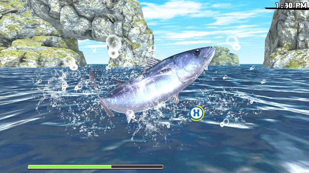 Adventure Trip Reel Switch Nintendo for Road Fishing:
