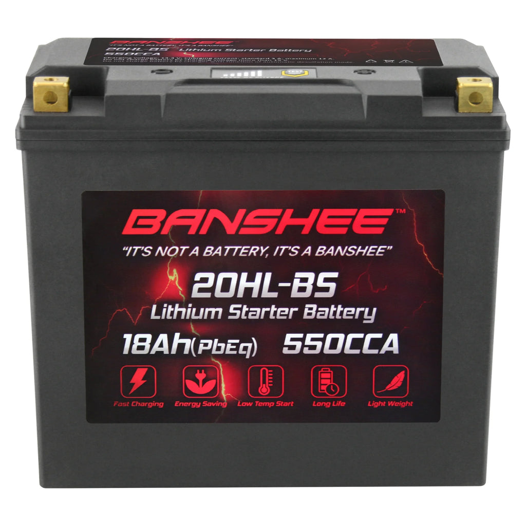 20L-BS 2015 VX1100D Motorsports 2015 WaveRunner Compatible Yamaha V1 Banshee Sport LiFePO4 with Battery to