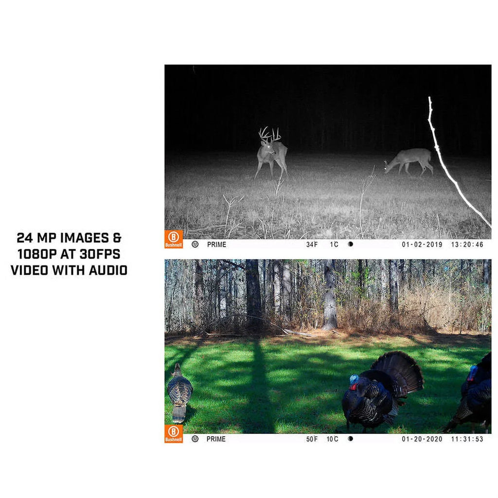 24MP Camera, Prime BUS119932M Bushnell Trail Low Glow Tan