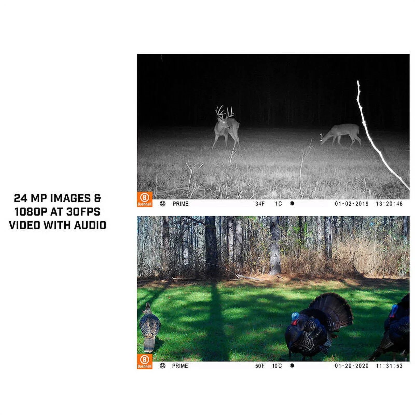 24MP Camera, Prime BUS119932M Bushnell Trail Low Glow Tan