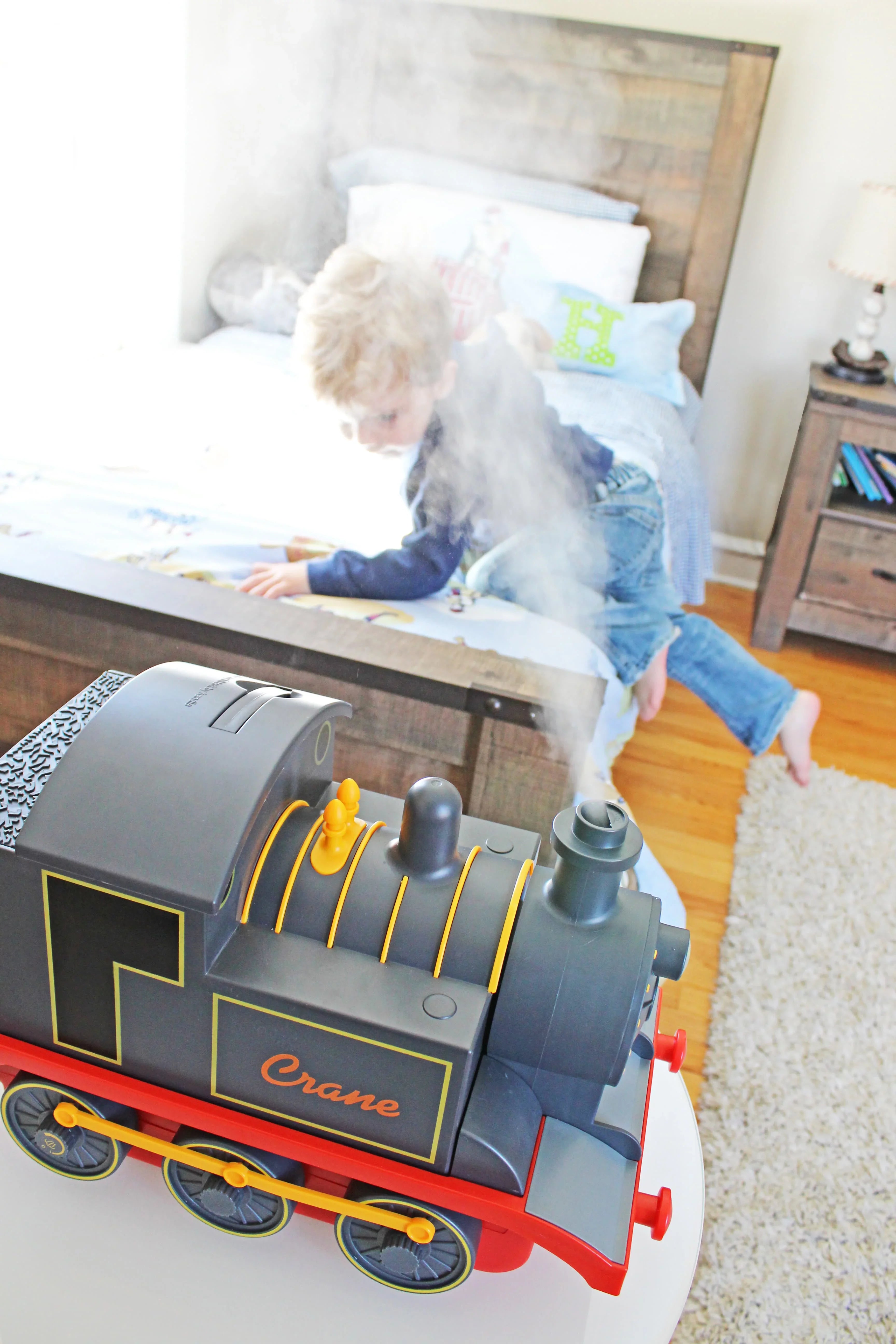 Crane - Mist Train Adorable Cool Ultrasonic Humidifier