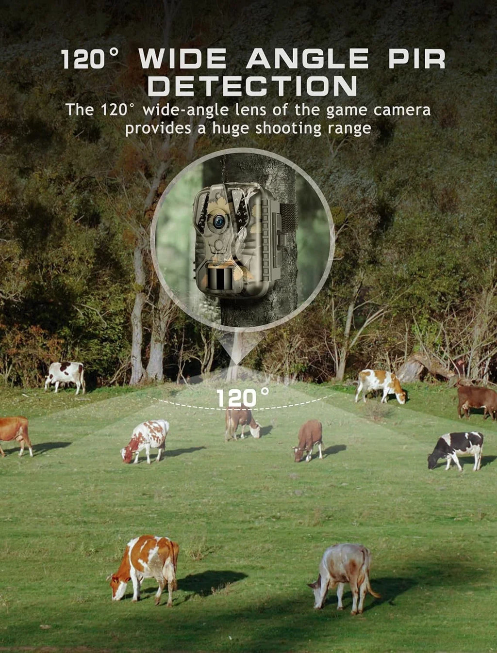Night Waterproof, Time 0.2s Hunting Trail - Camera Vision Camera 20MP for Motion Wildlife Activated Game Trigger with Camera Hunting-M9 Monitoring Mini Deer 1080P