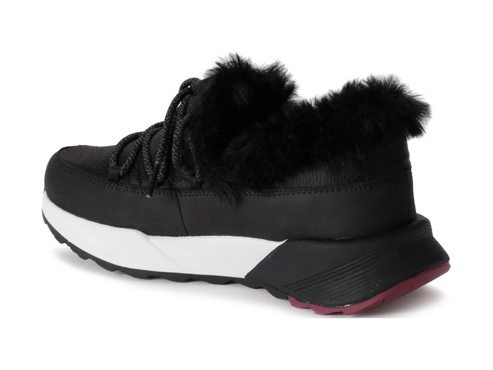 '- Aggie Spyder Black, Shoes Casual M080 Women's,