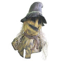 Mask - Morris dimension Costumes - One Scarecrow