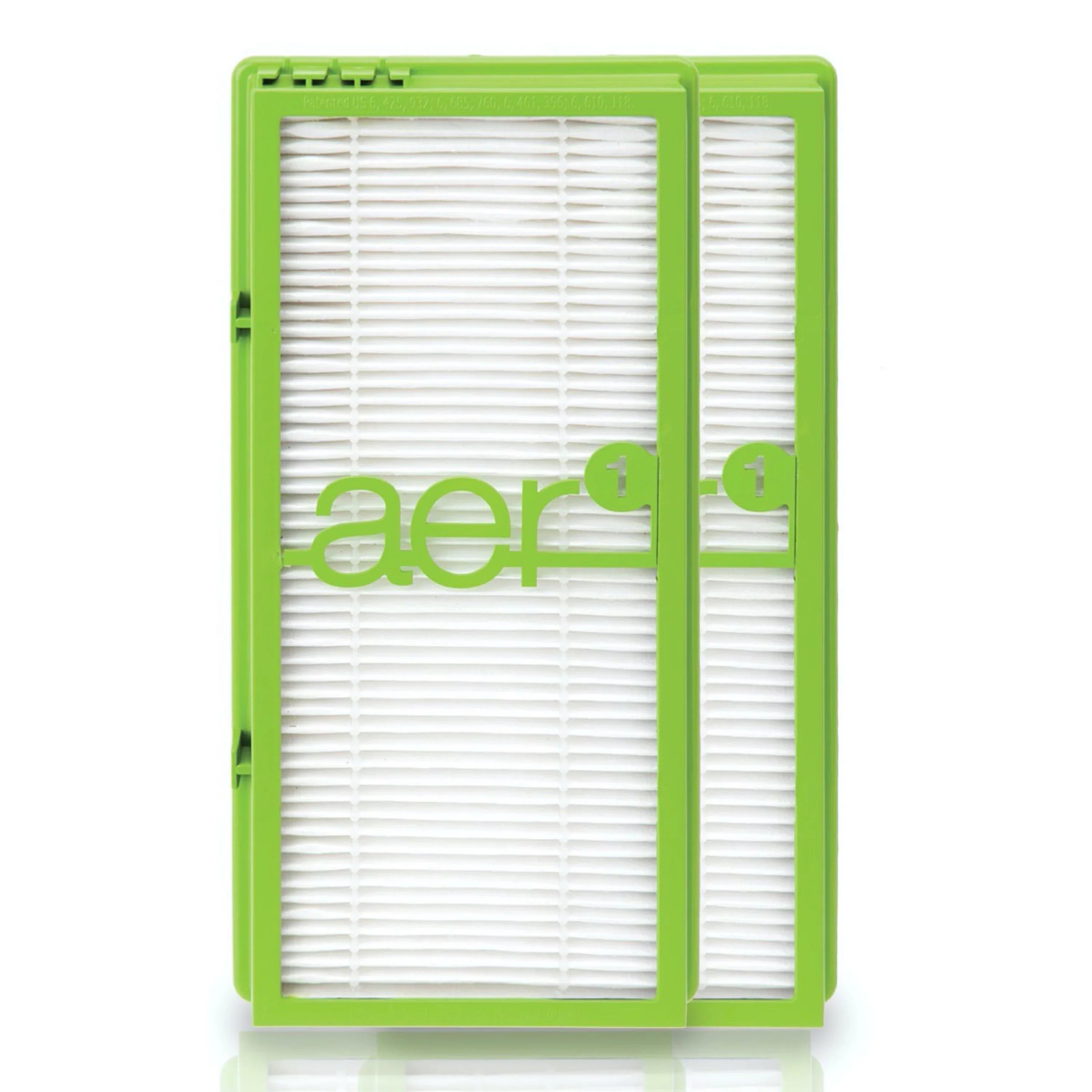 Bionaire® Air Allergen-Remover 2-Pack HEPA Filter, aer1 True