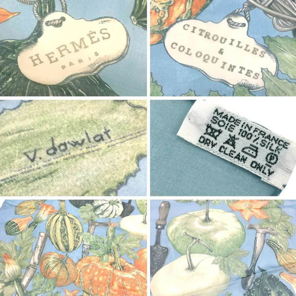 Muffler colocynth COLOQUINTES CITROUILLES Silk 90 Scarf Pre-Owned silk & Pumpkin scarf and 100% HERMES Carre Hermes muslin (Good) Chiffon