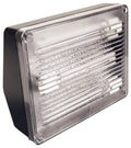 Floodlight Pl Compact Ws40 13W Fluorescent Elco - Black