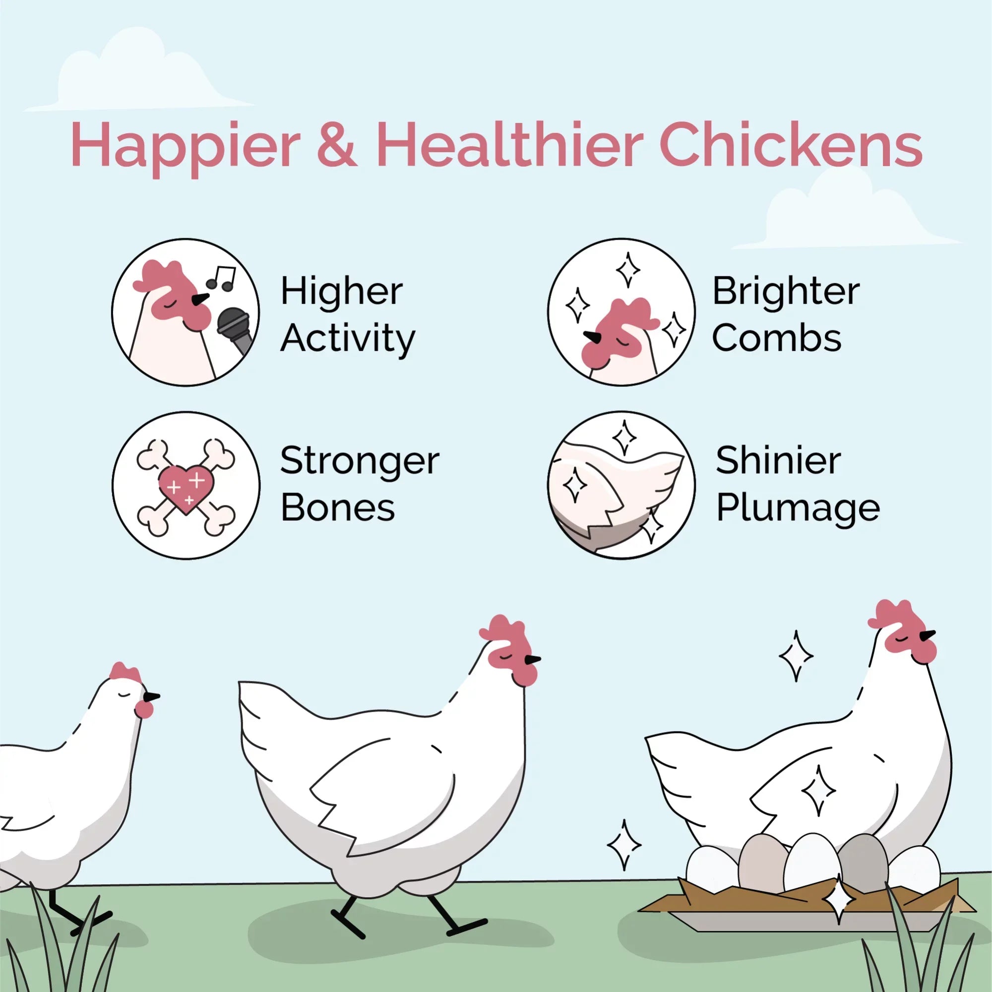 Grain 18% 46 Certified Non-GMO, Organic, Feed Certified Four | Grower Non-Medicated Mile US Protein Corn-Free, 100% | Food Whole Grains, | Chicken | Soy-Free, Grown Chicken | Organic lbs.