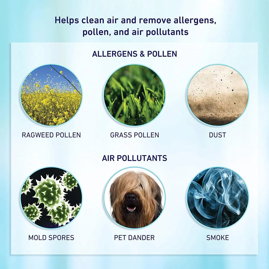 Bionaire® Air Allergen-Remover 2-Pack HEPA Filter, aer1 True