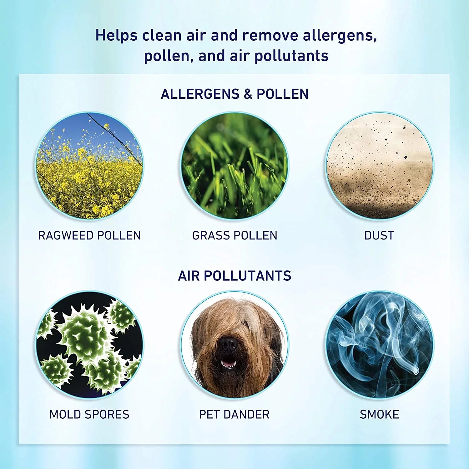 Bionaire® Air Allergen-Remover 2-Pack HEPA Filter, aer1 True