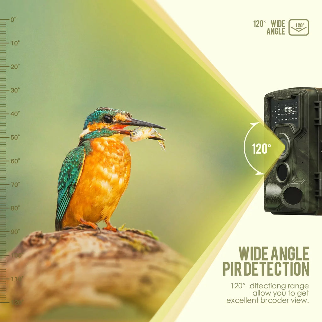 12 Day Observation Video Laoshe Sport Camera GoolRC 1080p Camera Inch Infrared Infrared With Ip54 12 34 34 36mp CameraWith With DayAnimal Camera,12 2.0 Waterproof Display Display