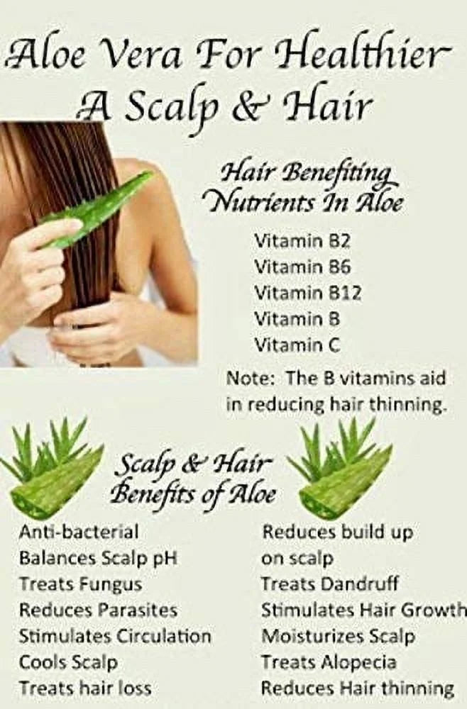Aloe Gel,190 Vera Grams Hair Lais Natural Care & Ayurveda Care Skin