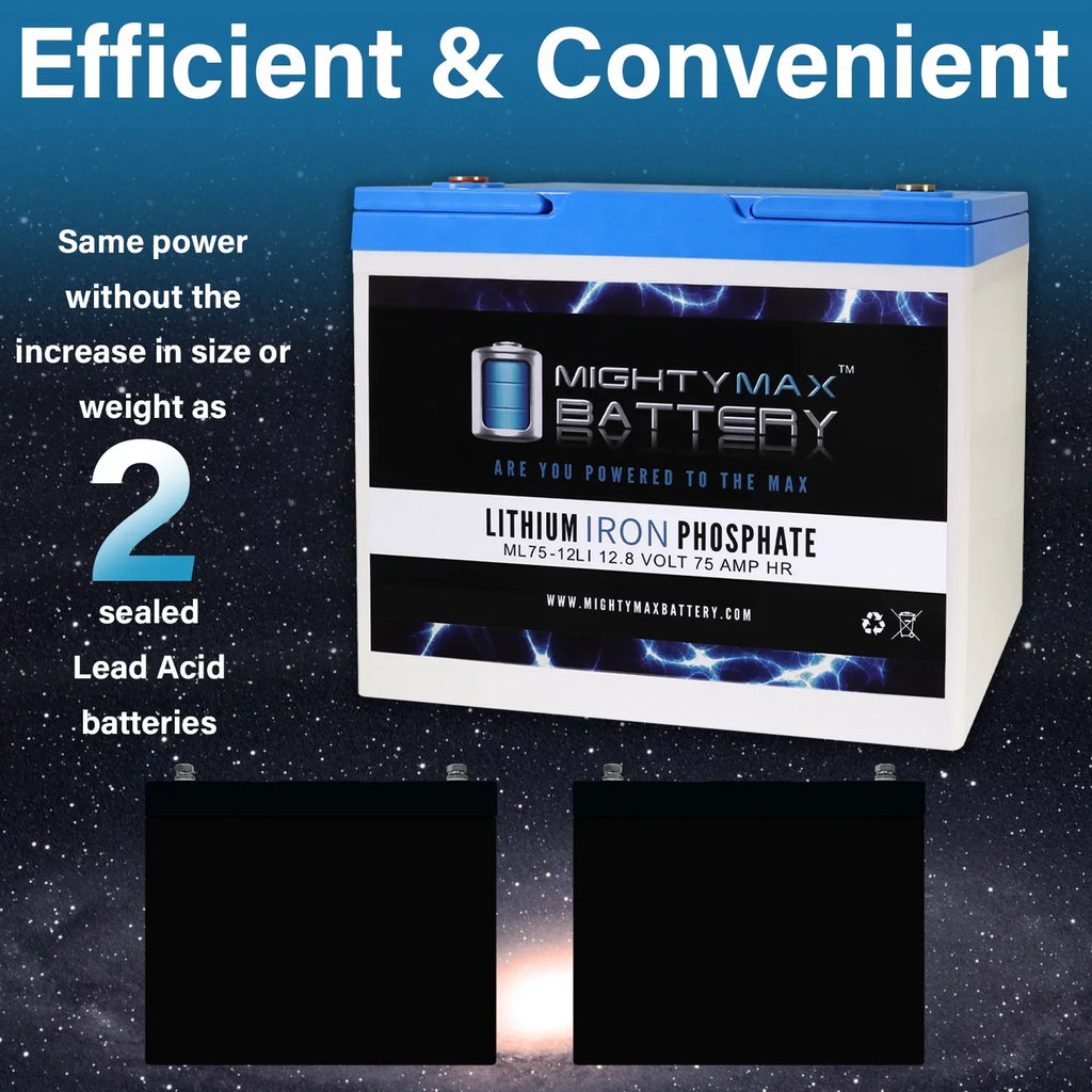 BW 75AH Way Replacement Battery 12V Group for Bright EV24 Lithium Z