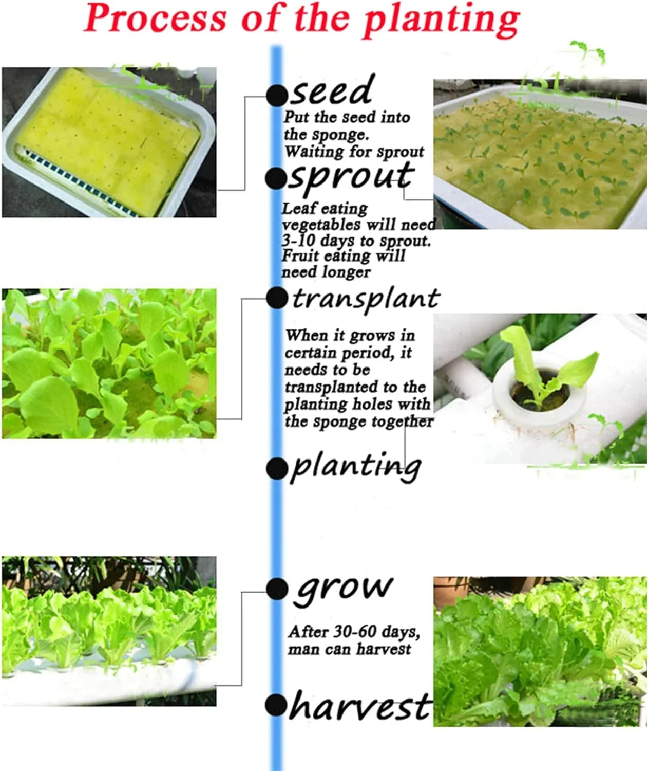 Plant Machine Hydroponic Pipeline Vegetable Sites System Growing Grow 54