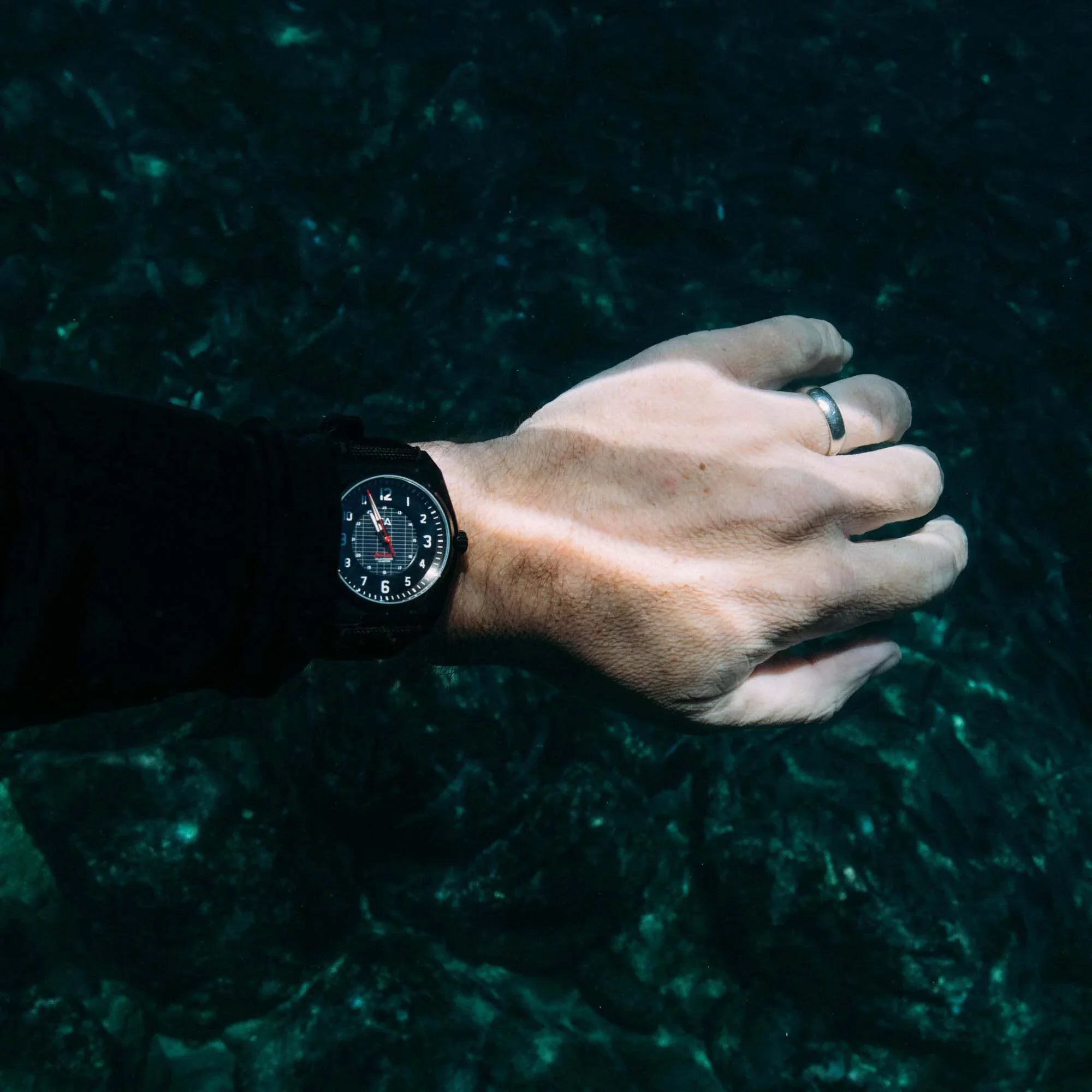 Coast Watch Lost California Co. Field Midnight Solar