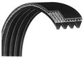 Works Belt Pulley Poly 825 815 Main Bike 815 Precor 825 RBK d&d UBK Drive